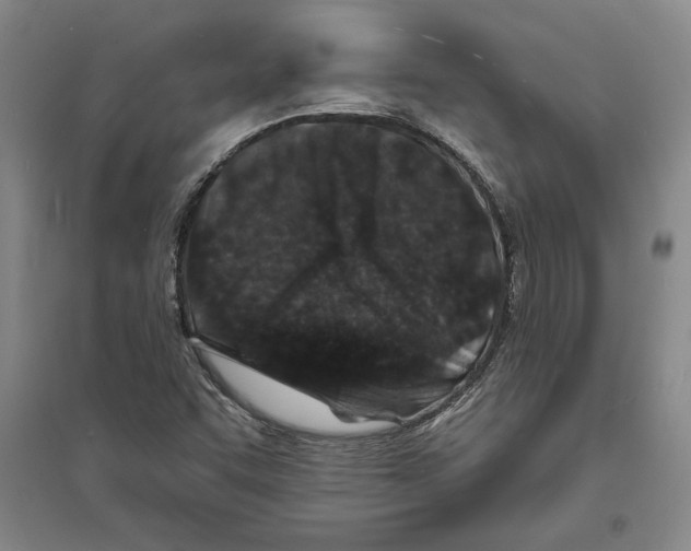 X0000094071455200711161536