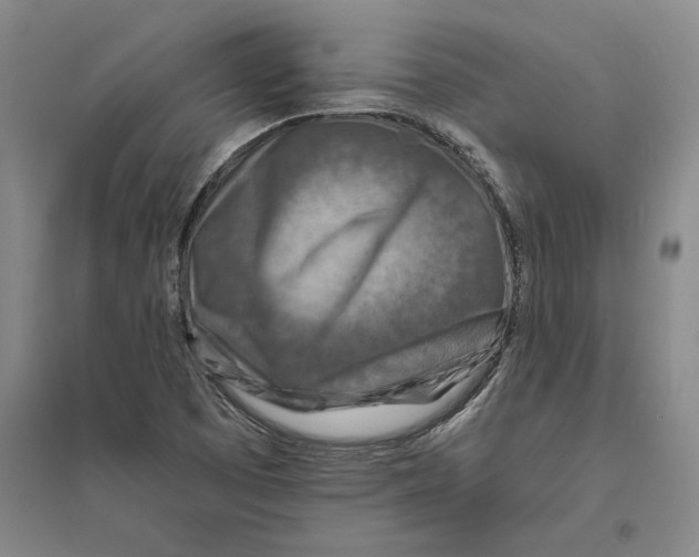 X0000094071457200711161536