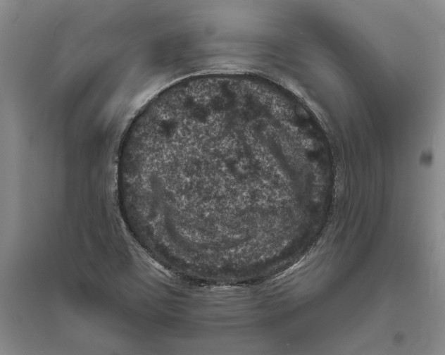 X0000094071459200711161536