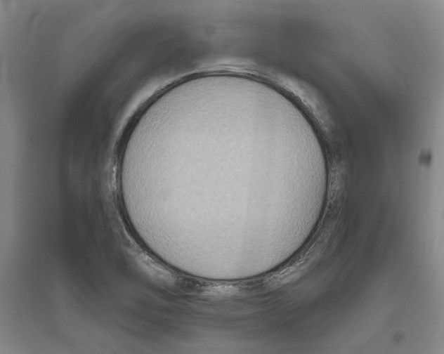 X0000094071462200711161536