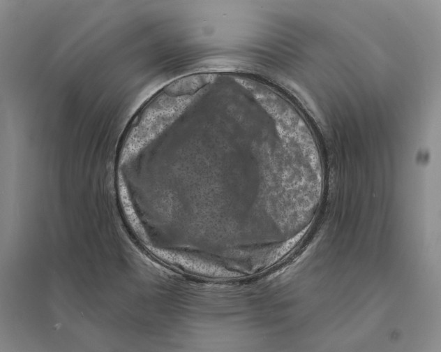 X0000094071465200711161536