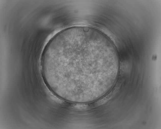 X0000094071466200711161536
