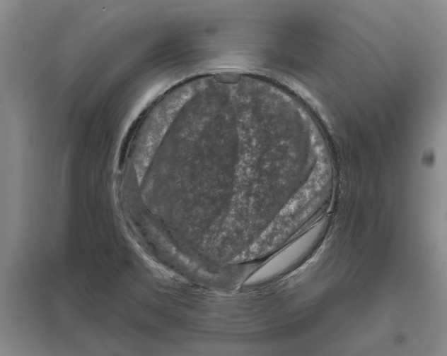 X0000094071469200711161536