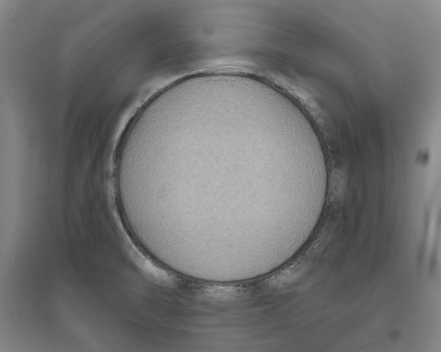 X0000094071470200711161536