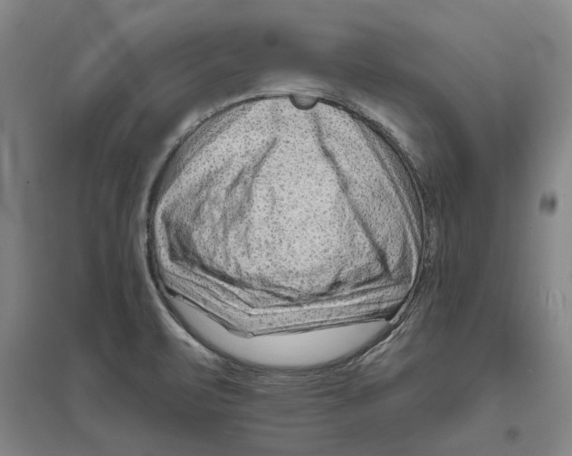 X0000094071471200711161536