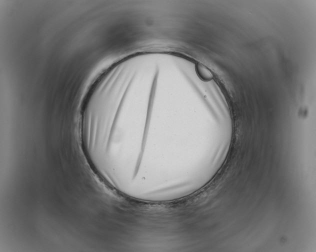 X0000094071472200711161536