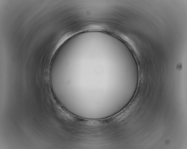 X0000094071473200711161536