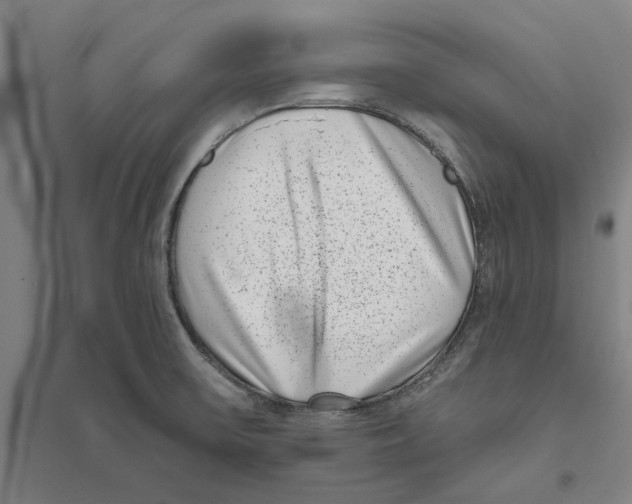 X0000094071475200711161536