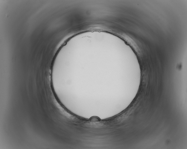 X0000094071476200711161536