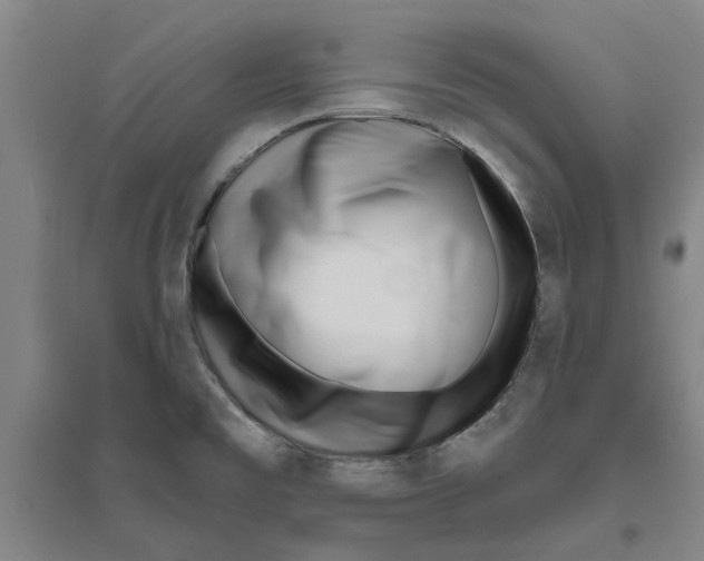 X0000094071477200711161536