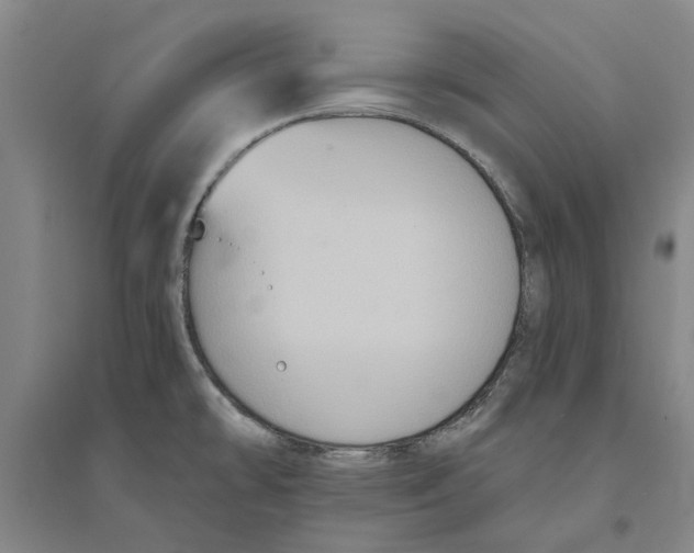 X0000094071478200711161536