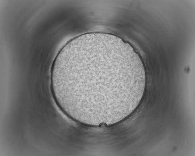 X0000094071479200711161536