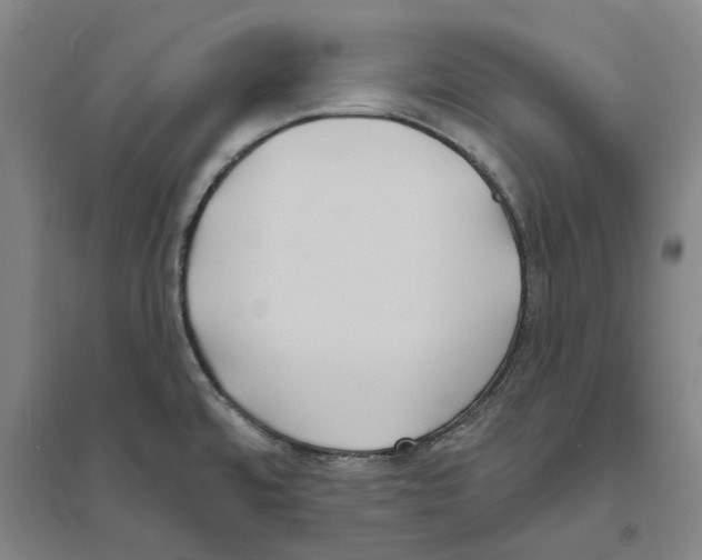 X0000094071480200711161536
