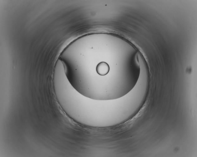 X0000094071481200711161536