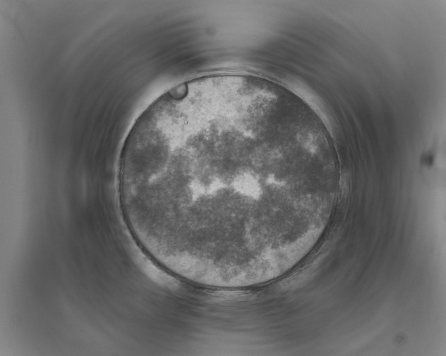 X0000094071482200711161536