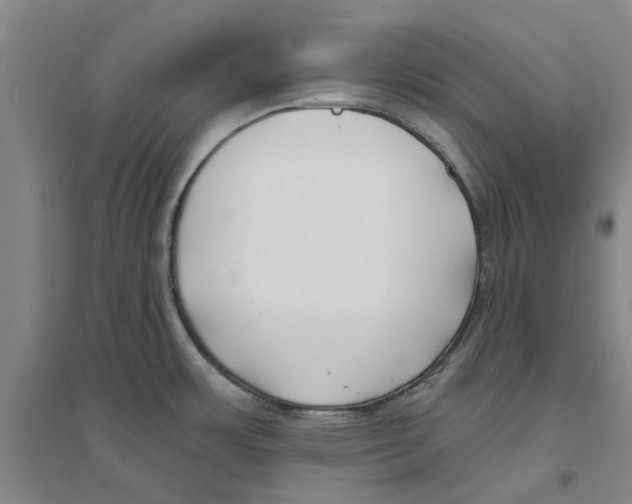 X0000094071483200711161536