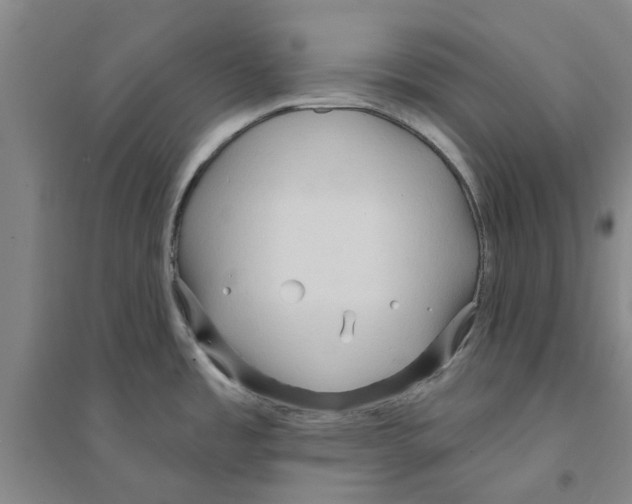 X0000094071485200711161536