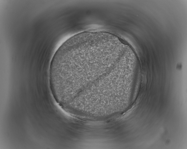 X0000094071487200711161536