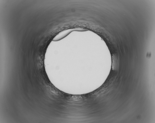 X0000094071491200711161535