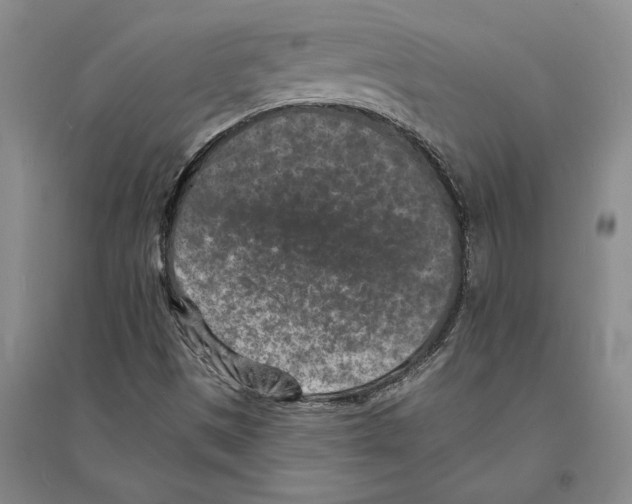 X0000094071497200711161535