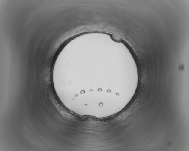 X0000094071499200711161535