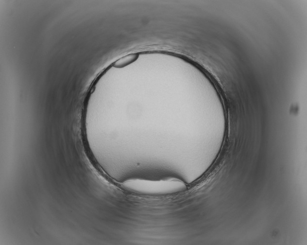 X0000094071500200711161535
