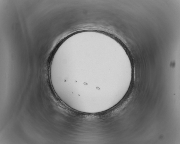 X0000094071501200711161535