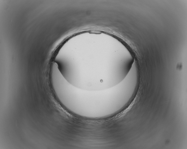 X0000094071502200711161535