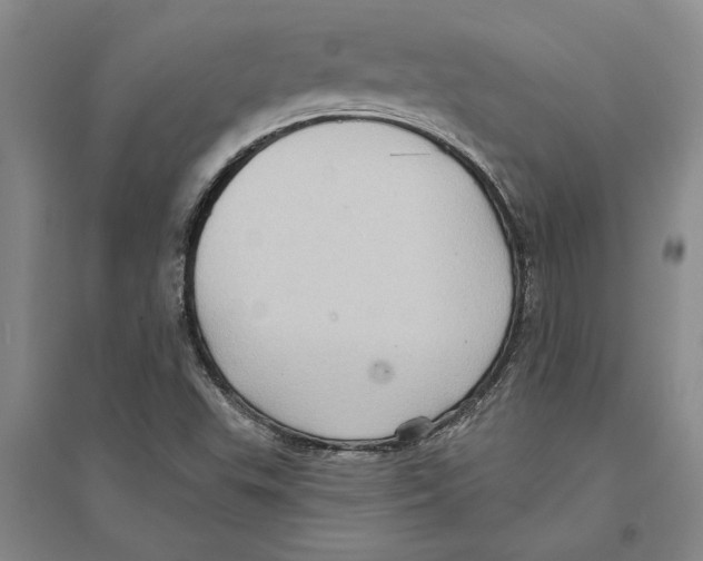 X0000094071503200711161535