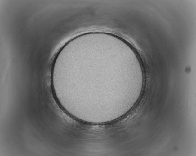 X0000094071504200711161535
