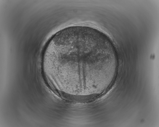 X0000094071506200711161536