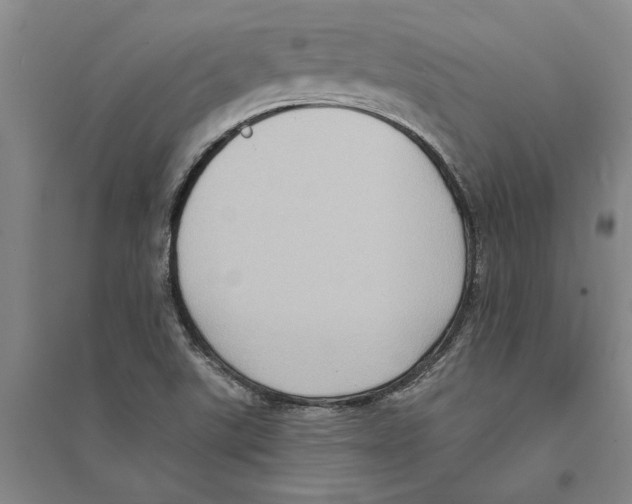 X0000094071507200711161536