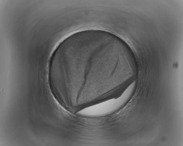 X0000094071508200711161536