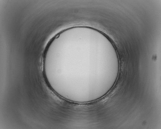 X0000094071510200711161536