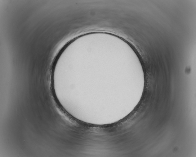 X0000094071511200711161536