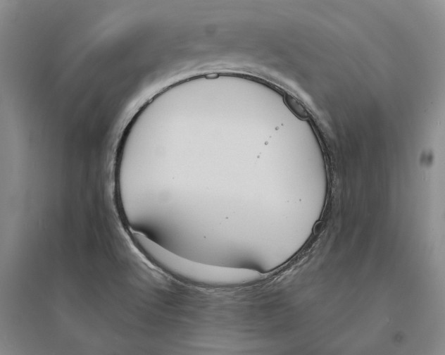 X0000094071512200711161536