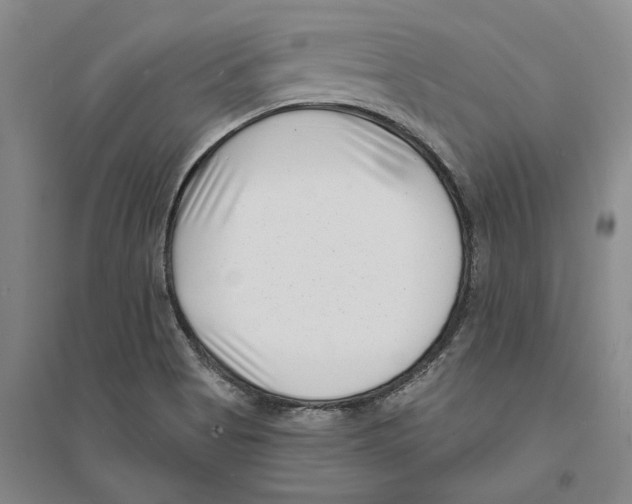 X0000094071513200711161536