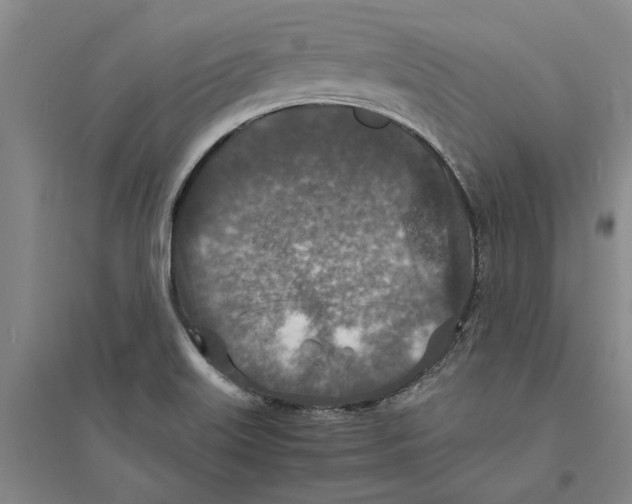 X0000094071515200711161536