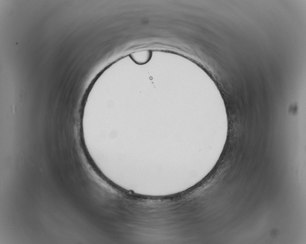 X0000094071518200711161536