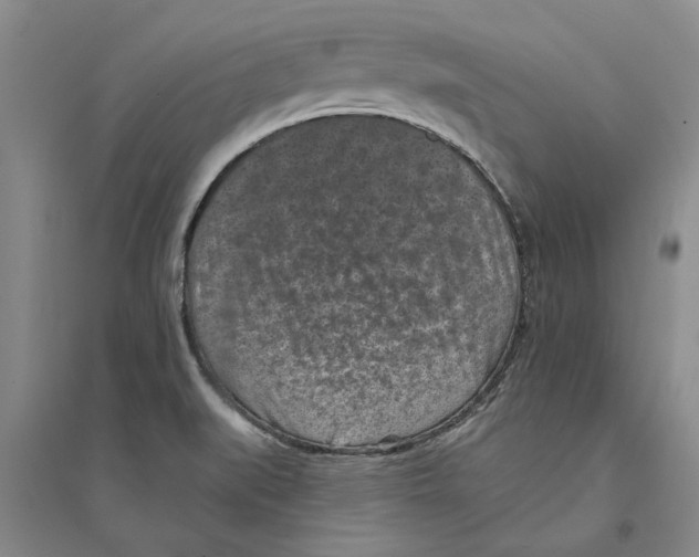 X0000094071519200711161536