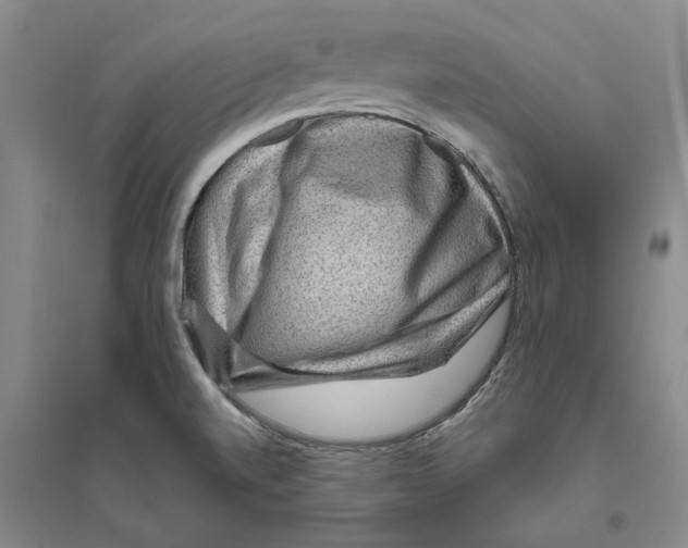 X0000094071520200711161536