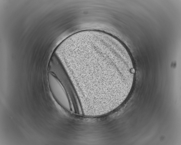 X0000094071521200711161536