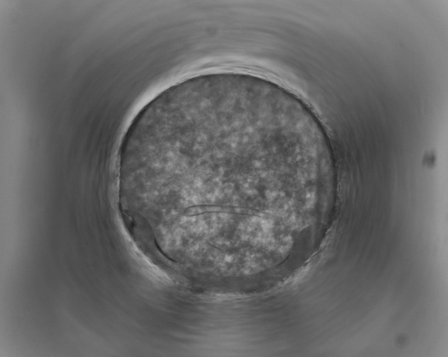 X0000094071522200711161536