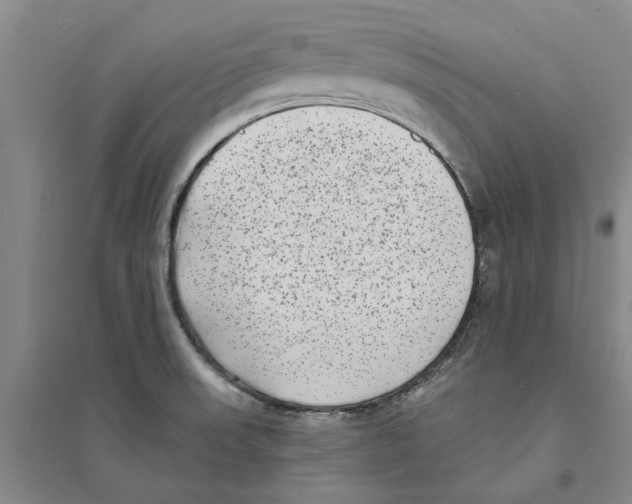 X0000094071523200711161536