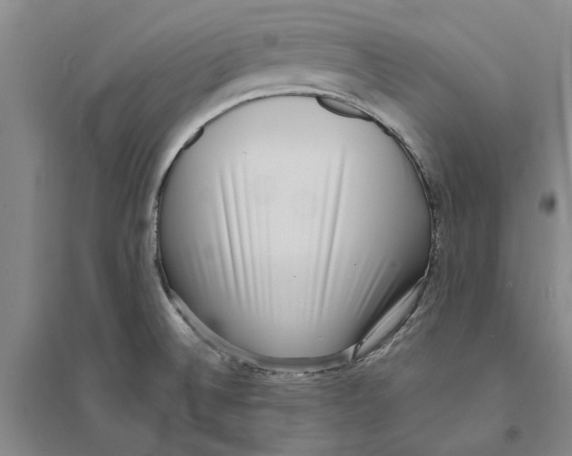 X0000094071524200711161536