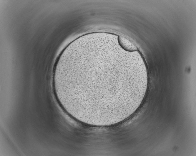 X0000094071525200711161536