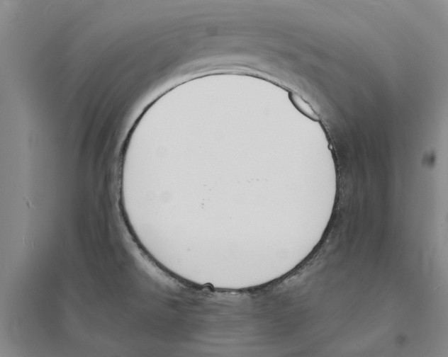 X0000094071526200711161536
