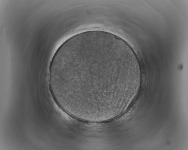 X0000094071527200711161536