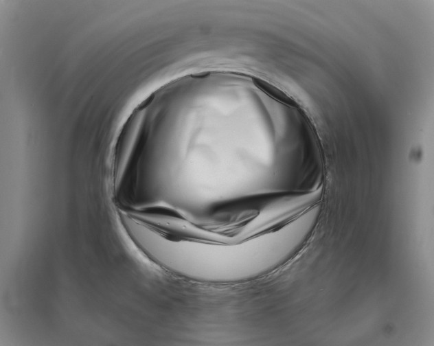 X0000094071528200711161536