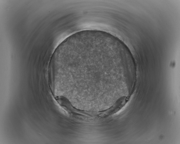 X0000094071529200711161536